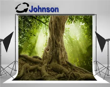 Grande Árvore de Raízes Raio de sol Verde Floresta fotografia fundos de Alta qualidade de impressão do Computador parede foto pano de fundo