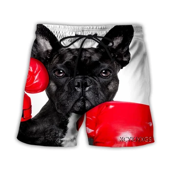 xinchenyuan Novos Homens/Mulheres Animal Cão Boxer Impressos em 3D Shorts Ocasionais de Moda Streetwear Homens Soltos Sporting Shorts T26